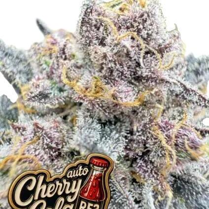 Cherry Cola RF3 P#2 F420 Eternity Cup'26