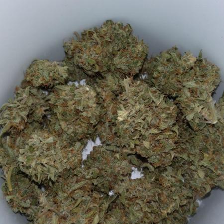 Cinderella Auto Fastbuds