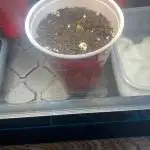 Genius Juice