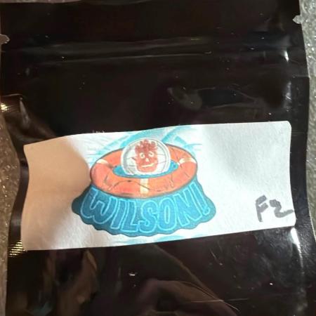 Wilson (f2)