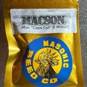 Macson (MAC [caps cutxwilson])