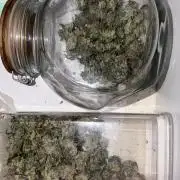 90x90 / Purple Cookie Kush 420w