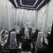 6 x 3,4l / 200w (SensiSeed)