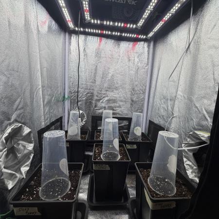 6 x 3,4l / 200w (SensiSeed)