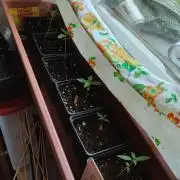 Outdoor Auto2026#3
