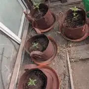 Outdoor Auto2026#3