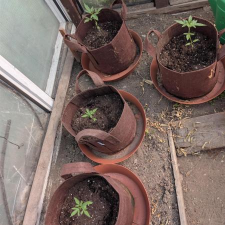 Outdoor Auto2026#3