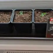 Outdoor Auto2026#3