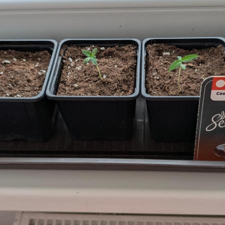 Outdoor Auto2026#3