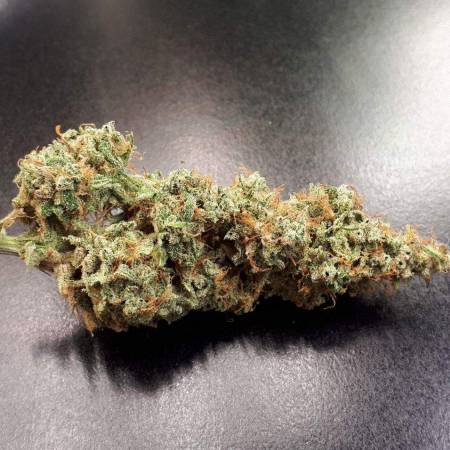 CIC  Auto 