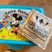 505 Headbanger in Autopot + Coco