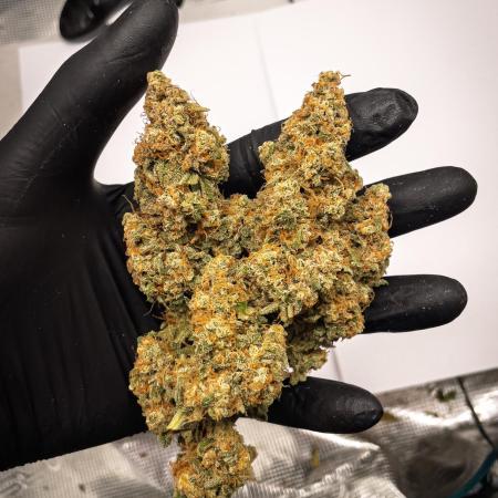 Sour Stomper by Mephisto in Autopot