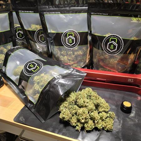 Seedsman - Blueberry Pie F1 Fast Outdoor - Hugelkultur - Mainline