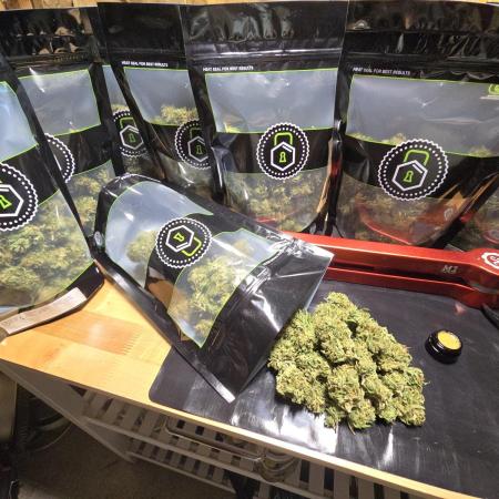 Seedsman - Blueberry Pie F1 Fast Outdoor - Hugelkultur - Mainline