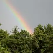 Jimmy went to the rainbow