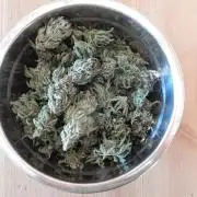 Ice Cream Haze (outdoor/indoor)