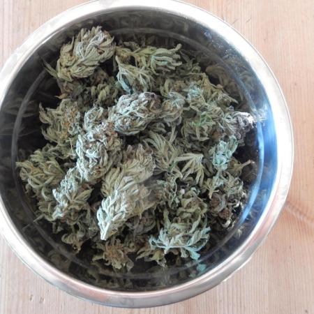 Ice Cream Haze (outdoor/indoor)