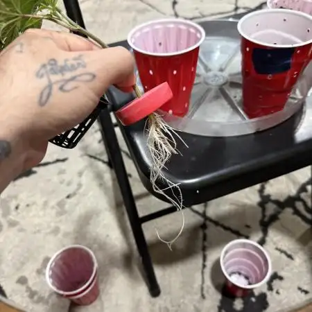 Permanent Marker