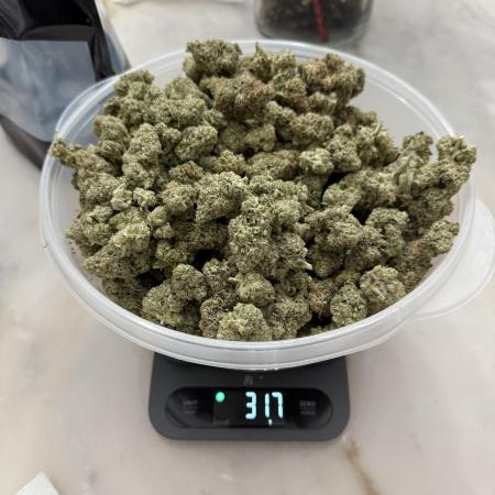 29.73oz Nearly 2LB