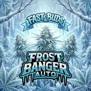 FrostBanger Auto