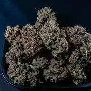 FrostBanger-Bonsai
