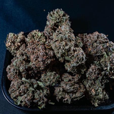 FrostBanger-Bonsai