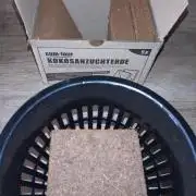 First Dwc Grow Souer Jealousy Auto