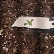 Living Soil Z42 FastBuds