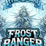FrostBanger Auto