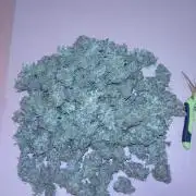 Tropical Butter Sause - DWC