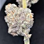 Terpy Diamond aka Truffle cookies