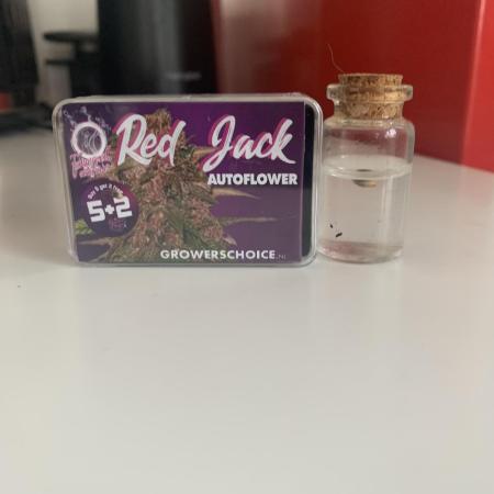 Red Jack Auto (WindowSil Modest/Attempt)
