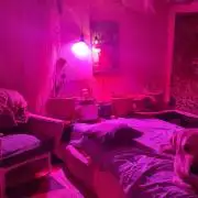 vegananic Veganix 101