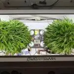 RDWC - Super Boof Auto + Z-Up Auto