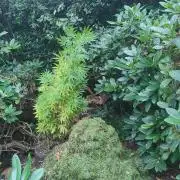 Nr.3.2 - Monstercropping