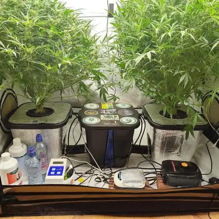 RDWC - Super Boof Auto + Z-Up Auto