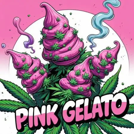 Kannabia/Pink Gelato