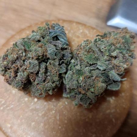Cannalope Haze Indoor