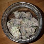 Organic RQS Grow