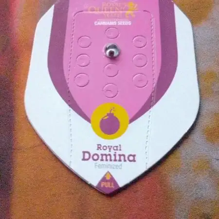 Royal Domina Feminized