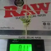 Fruit Punch Mini 🤪