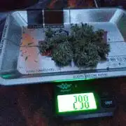 💚 Sour Jealousy Auto II & III