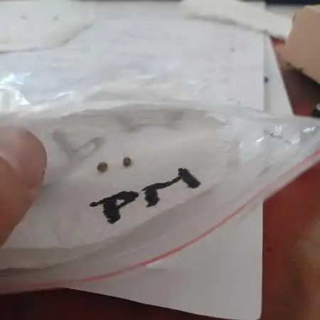 Permanent Marker