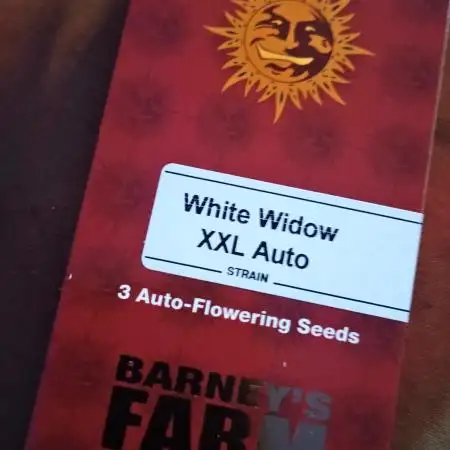 White Widow XXL Auto I
