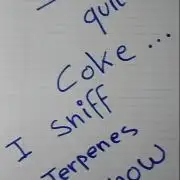 Mendo Breath Feminized 4/20 pcs