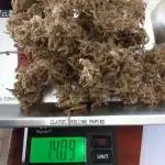 Sour Diesel I - 14gr
