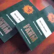 Mendo Breath Feminized 4/20 pcs