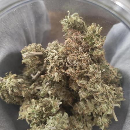 Royal Runtz (Indoor)
