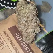 Strawberry Guava Bloom Log