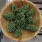 💜 Its CRITICAL to have some PURPLE FLOWERS FAST! 💜 (CPAS-WSE)